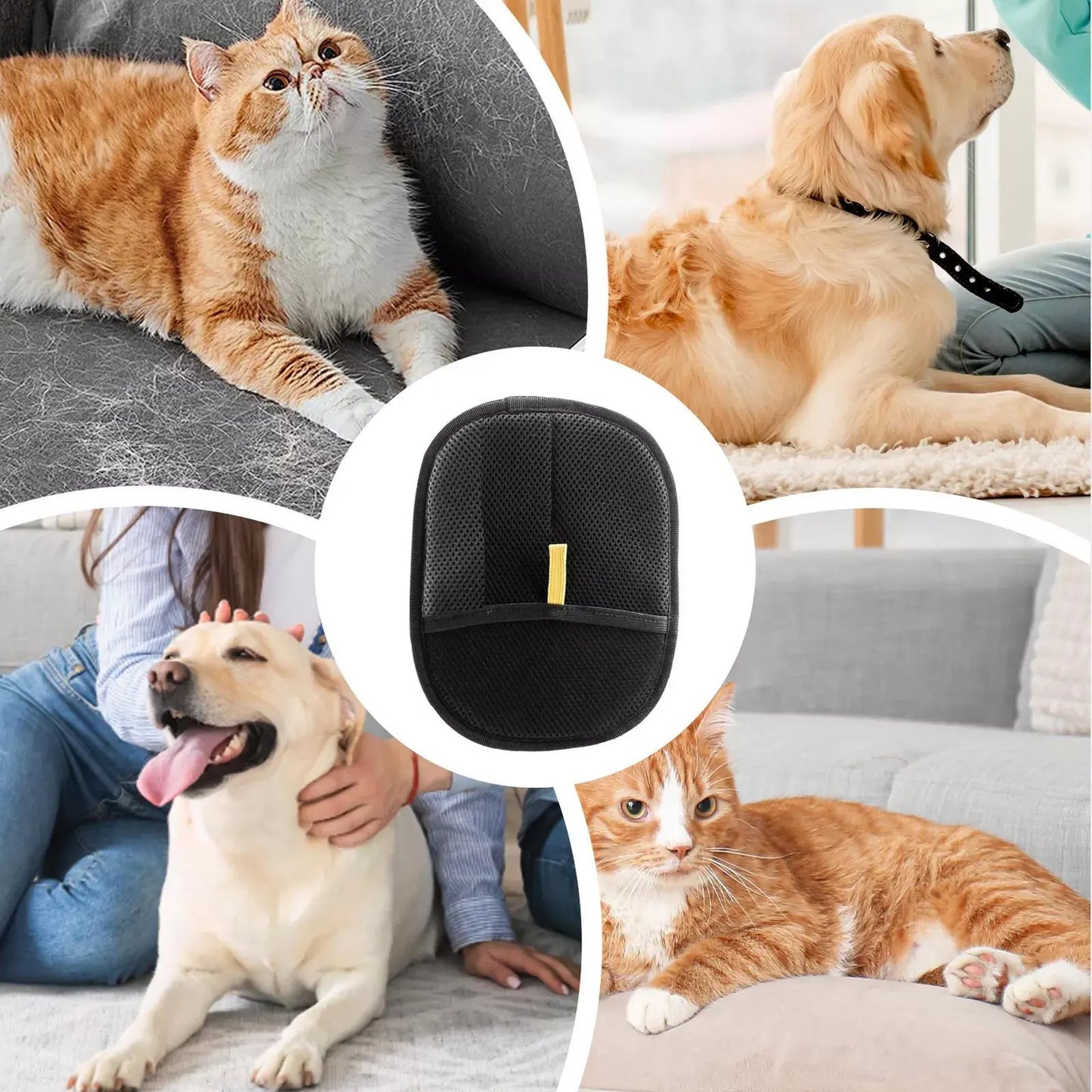 PetBuddy™ GUANTE QUITAPELOS X2 PIEZAS ★ La solución para un hogar limpio y sin pelos