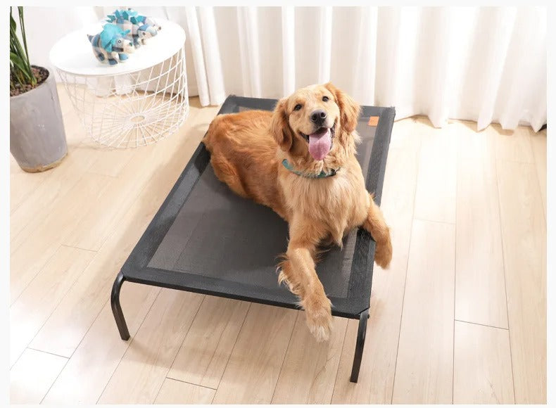 SteelPaws® Cama Elevada Ortopédica Para Mascotas