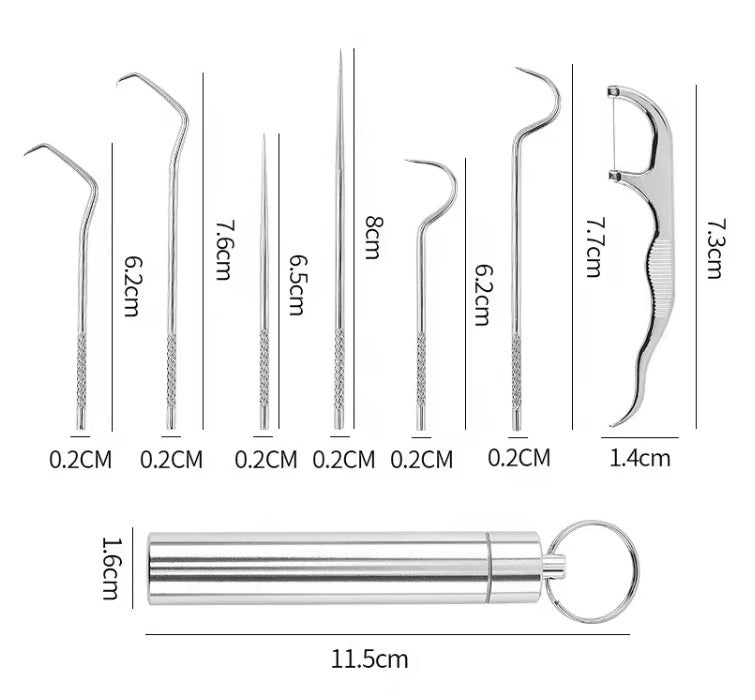 DentPro™ Set Palillos de Dientes de Acero Inoxidable