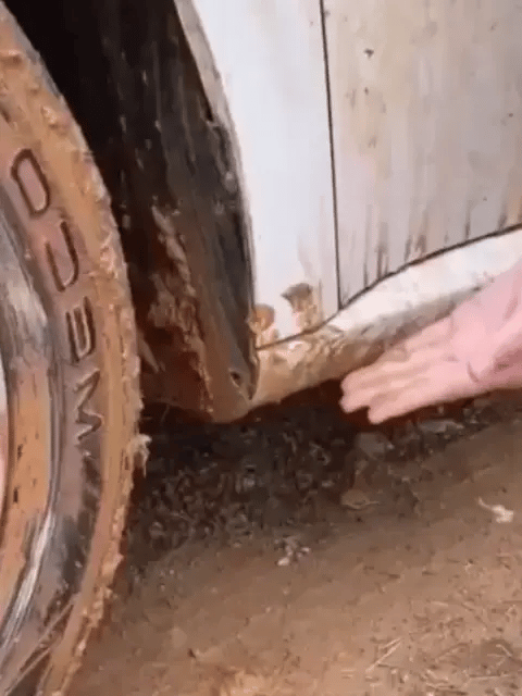 GUARDABARROS UNIVERSALES PARA CARRO ★ CarCleaner™ X4 PIEZAS