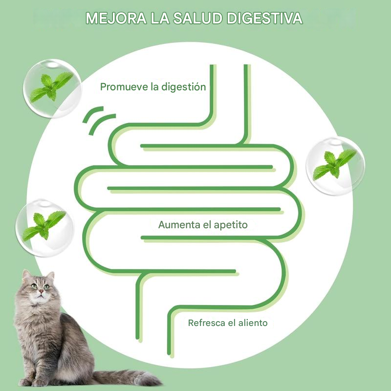 CatnipBalls™ | BOLAS DE HIERBA GATERA X4 ★ Mejora la digestión, la salud bucal y emocional de tu gato