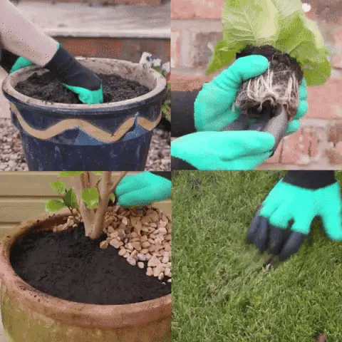 GreenThumb® GUANTES DE JARDINERÍA CON GARRAS ★ Para cavar, sembrar y desherbar🌱🧤