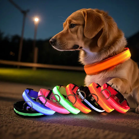 BrillaPet® | COLLAR LED PARA MASCOTAS ★ Seguridad garantizada para tus peluditos