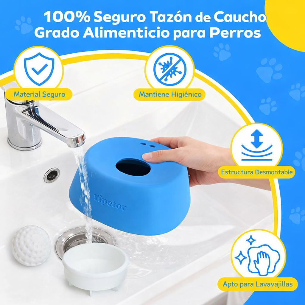 Encabezado