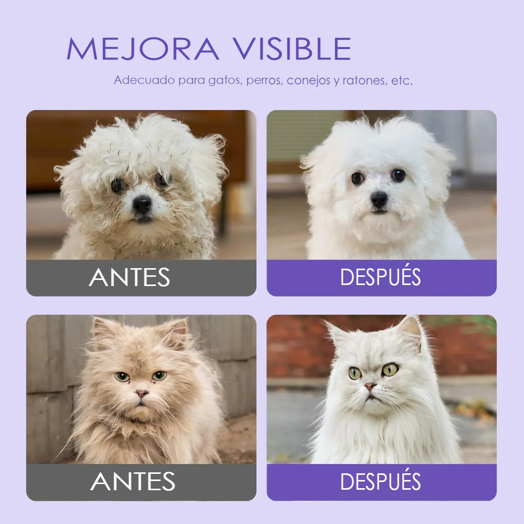 CleanPaw™ Guantes / Toallitas Para Mascotas X24