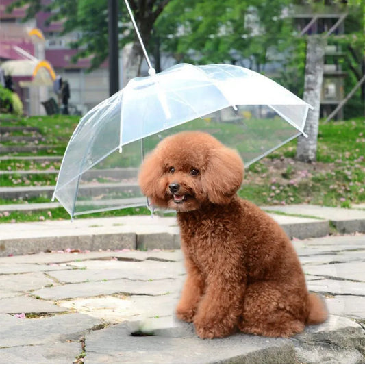 PARAGUAS PARA MASCOTAS  ★ PET UMBRELLA™