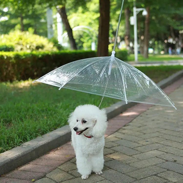 PARAGUAS PARA MASCOTAS  ★ PET UMBRELLA™