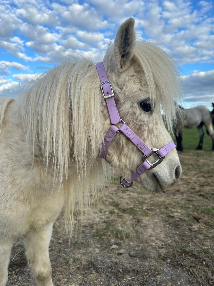 Chevaux Élite® | CABESTRO PARA CABALLOS ★ Estilo & comodidad sin igual