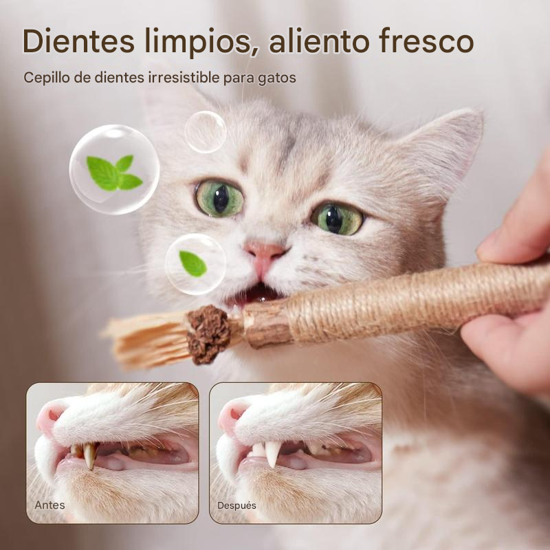 Cat-Mint® | PALITOS DE MATATABI MASTICABLES X3 PCS ★ Mantén su buena salud bucal