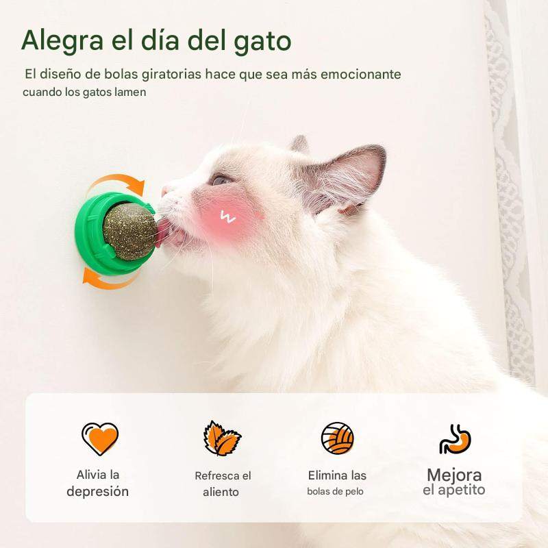 CatnipBalls™ | BOLAS DE HIERBA GATERA X4 ★ Mejora la digestión, la salud bucal y emocional de tu gato