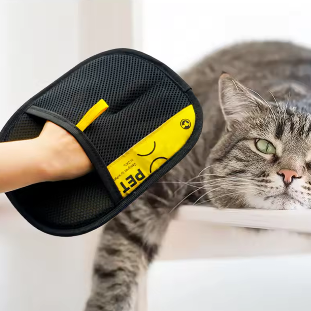 PetBuddy™ GUANTE QUITAPELOS X2 PIEZAS ★ La solución para un hogar limpio y sin pelos