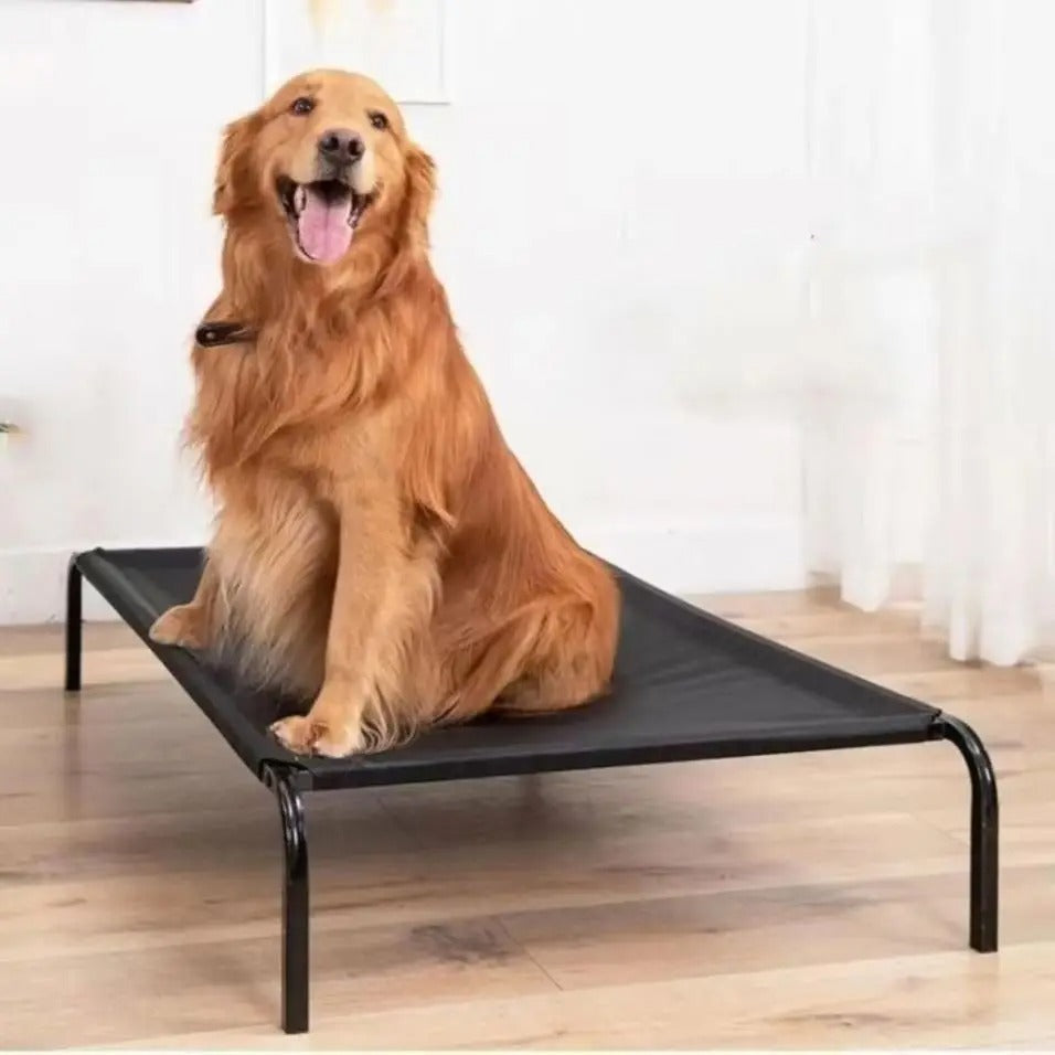 SteelPaws® Cama Elevada Ortopédica Para Mascotas
