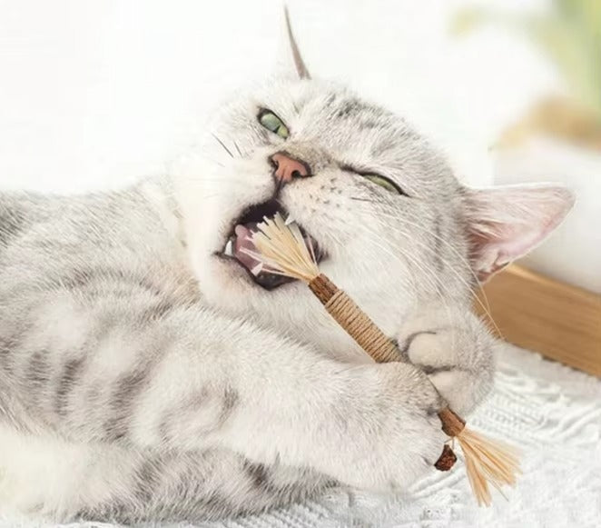 Cat-Mint® | PALITOS DE MATATABI MASTICABLES X3 PCS ★ Mantén su buena salud bucal