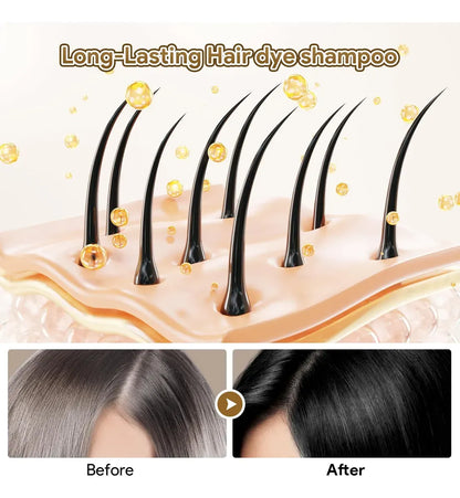 HairDye® Shampoo Para Teñir el Cabello 3 en 1